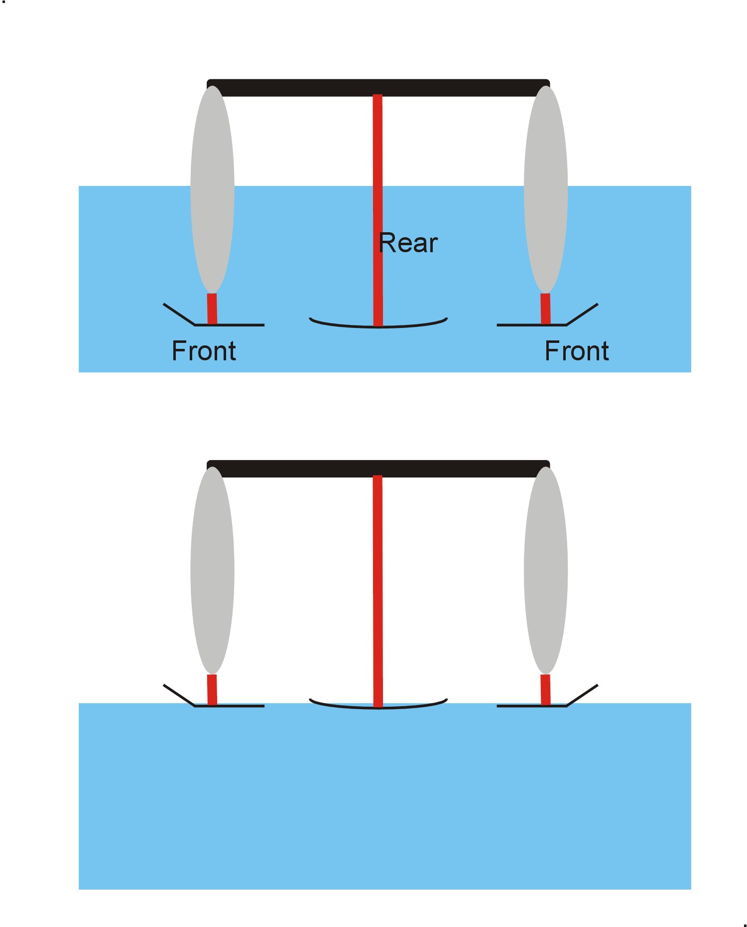 f-cat1.jpg